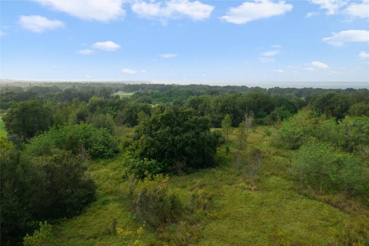 County Road 48, Yalaha, FL 34797 Photo