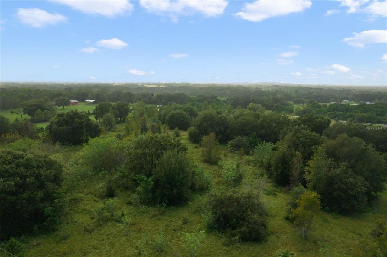 County Road 48, Yalaha, FL 34797 Photo