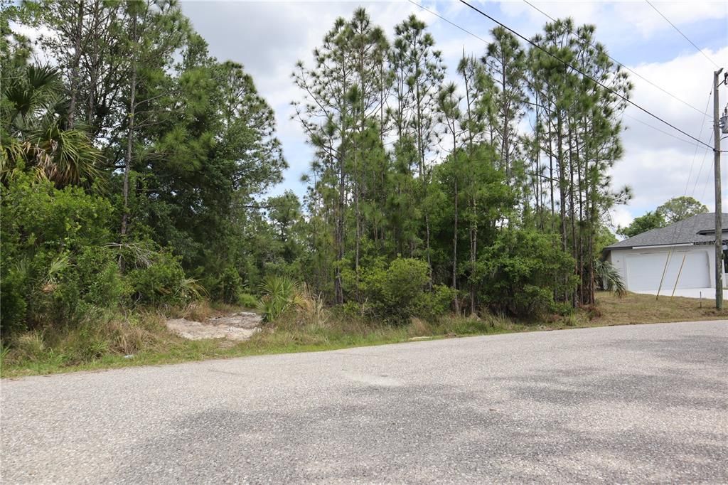 Lacoco Street, North Port, FL 34291 Photo