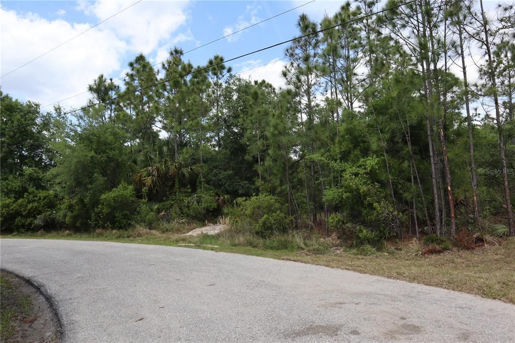 Lacoco Street, North Port, FL 34291 Photo