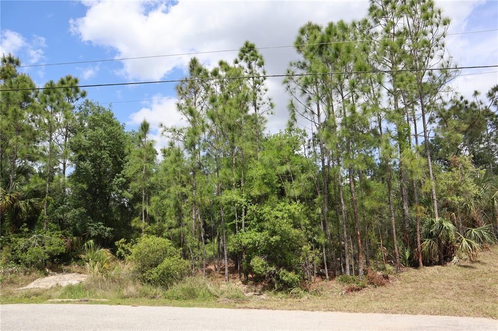 Lacoco Street, North Port, FL 34291 Photo