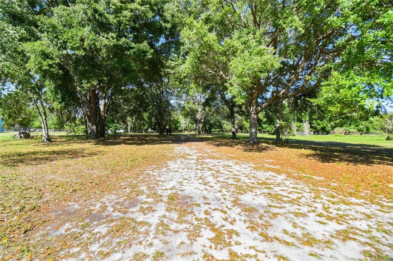 12500 Hamlin Road, Spring Hill, FL 34610 Photo