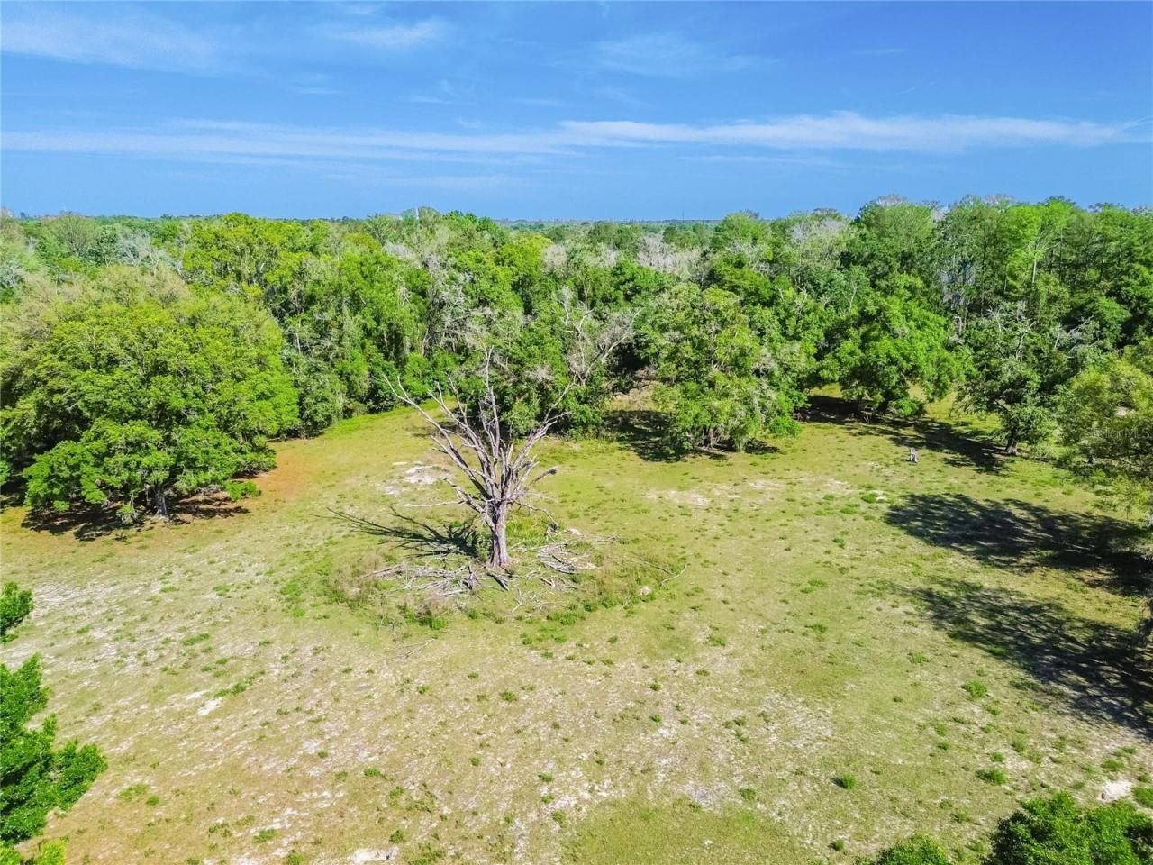 12500 Hamlin Road, Spring Hill, FL 34610 Photo