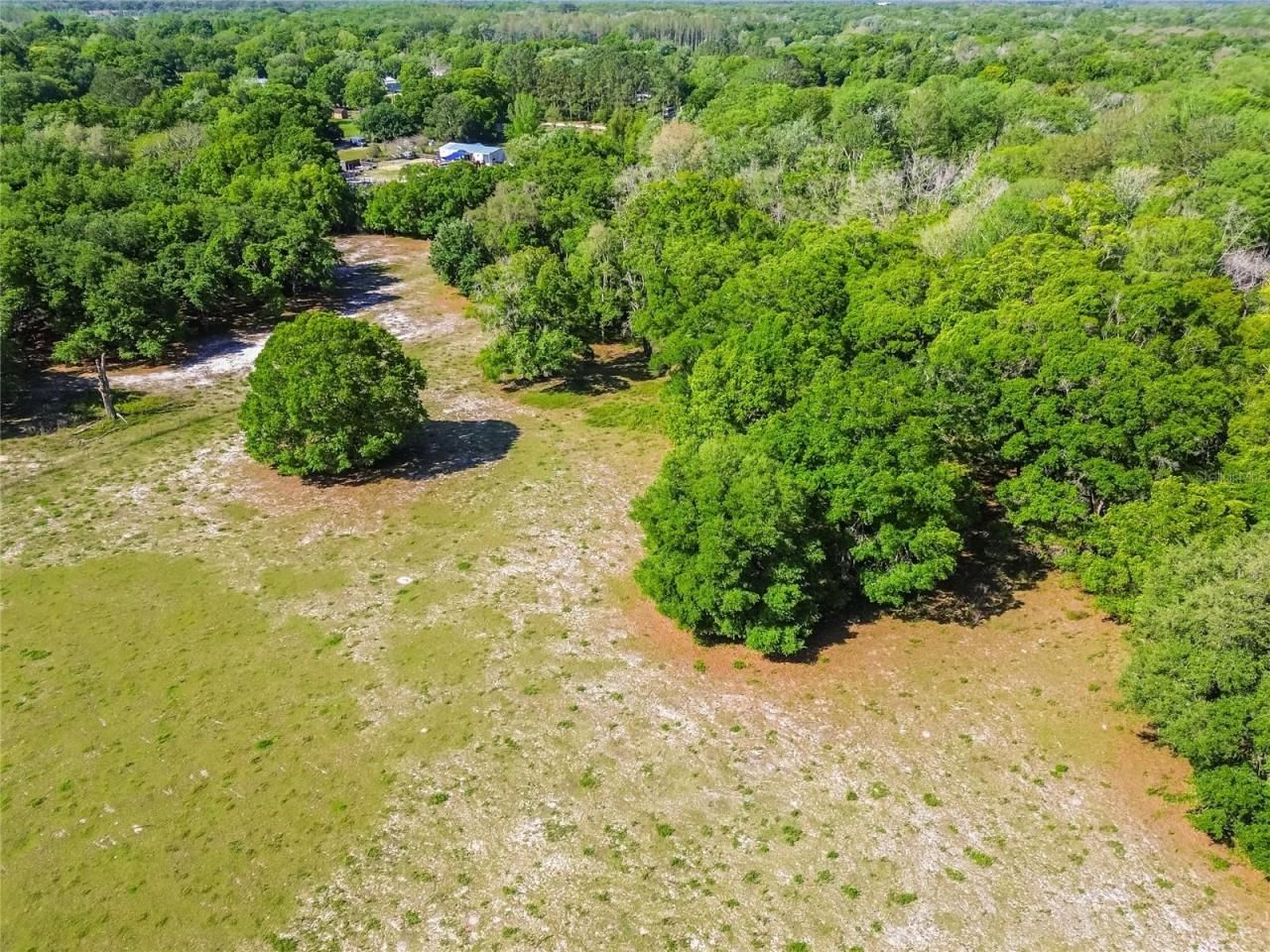 12500 Hamlin Road, Spring Hill, FL 34610 Photo