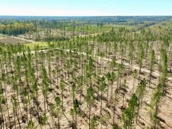 Lot 15-C Hwy 29, Molino, FL 32577