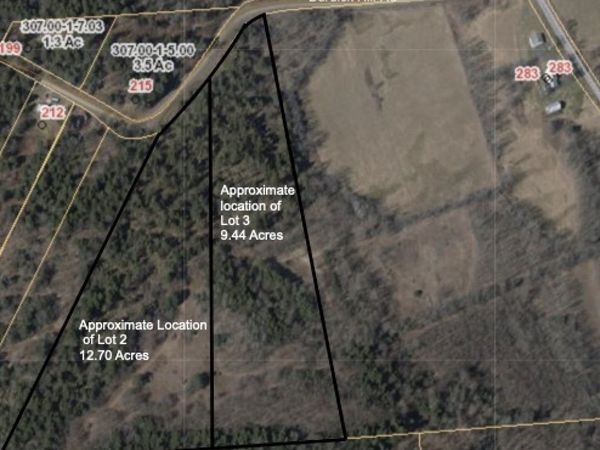 Lots 2 and 3 Burdick Hill Road, Otego, NY 13825