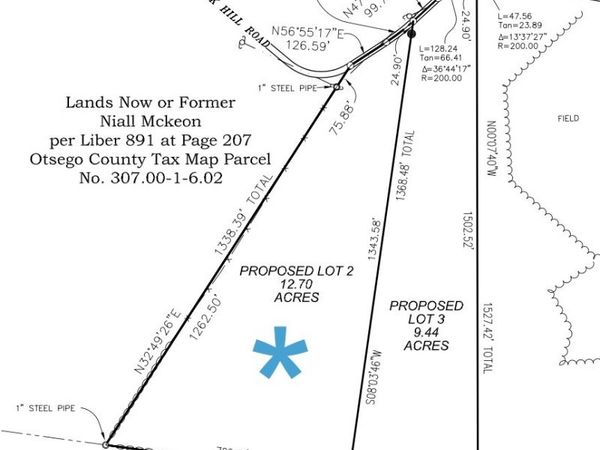 Lot 2 Burdick Hill Road, Otego, NY 13825