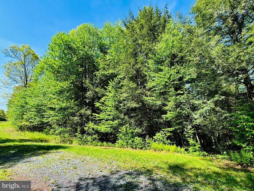 Lot: 10 Paradise Point, James Creek, PA 16657 Main Photo