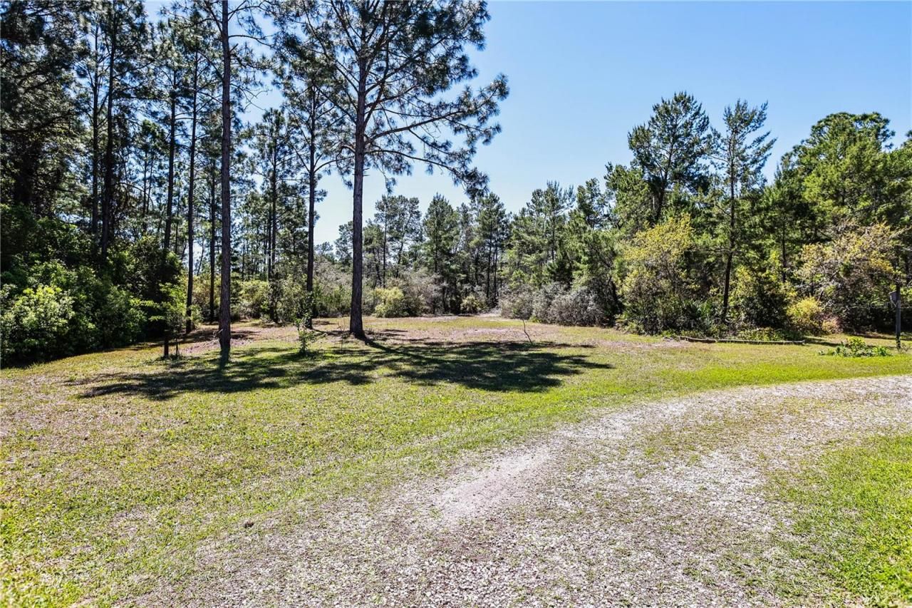 264 Boncycle Land Drive, Eastpoint, FL 32328 Photo