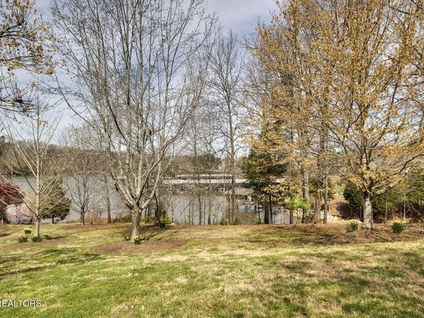 191 White Swan Drive, Vonore, TN 37885