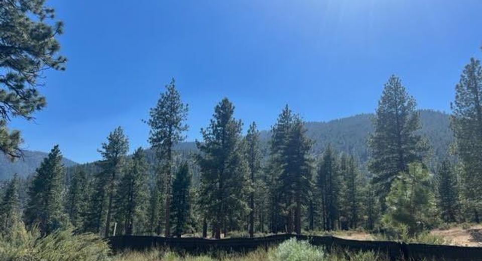 3582 Knob Point Trail, Lot #100, Carson City, NV 89705 Photo