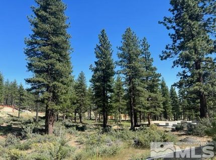 3582 Knob Point Trail, Lot #100, Carson City, NV 89705 Photo