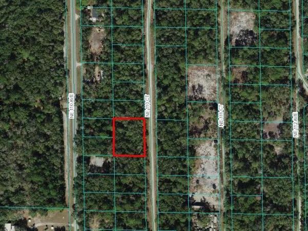 TBD NE 110 COURT, FORT MC COY, FL 32134