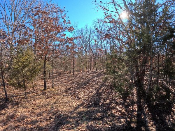Tract O Greatview Lane, Lebanon, MO 65536