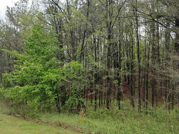 00 N ROYAL Street, Jackson, TN 38301