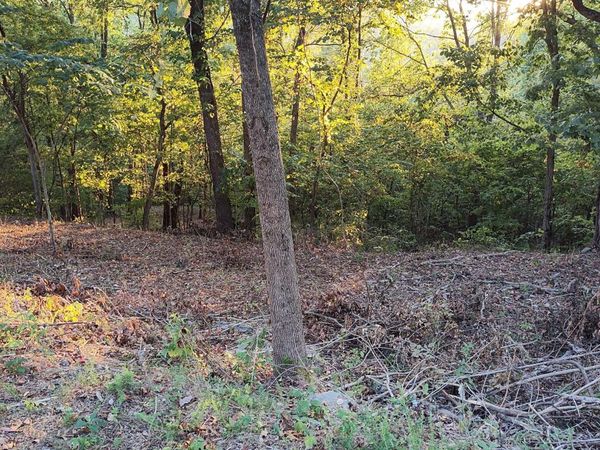 25 Harbor Pointe Lane, Silver Point, TN 38582