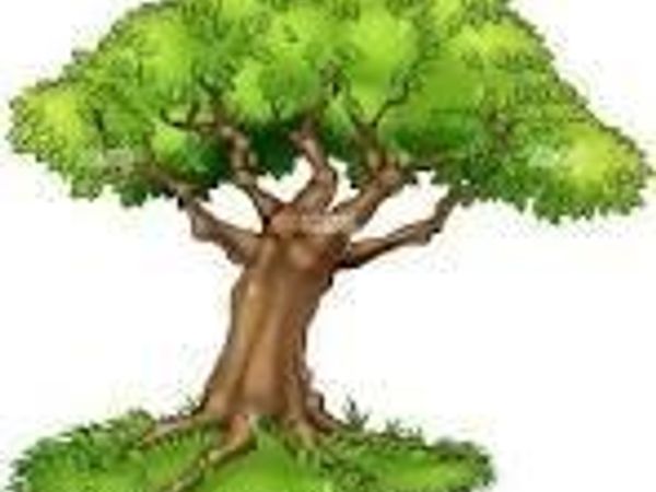 12012 Spiceley Road, Ford, VA 23850