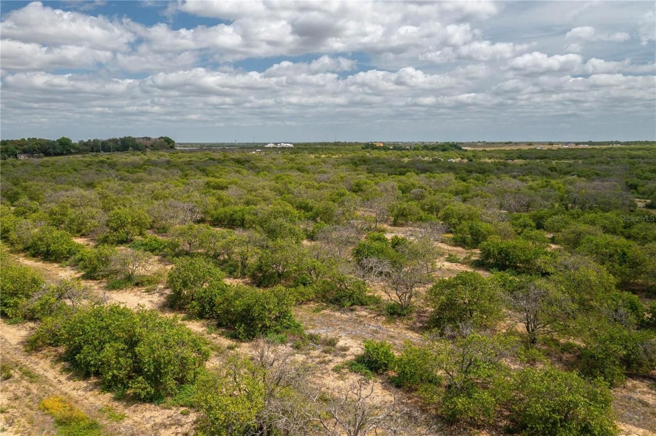 Scenic Highway N, Babson Park, FL 33827 Photo