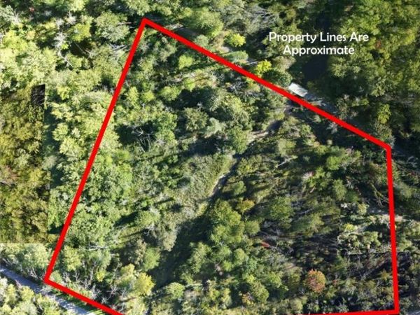 VL Old Route 31, Savannah, NY 14489