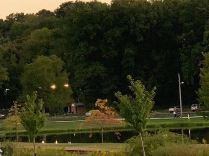 2223 Fulton Road NW, Canton, OH 44709 Photo 5