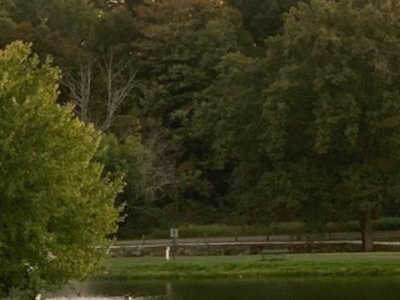 2223 Fulton Road NW, Canton, OH 44709 Photo 6