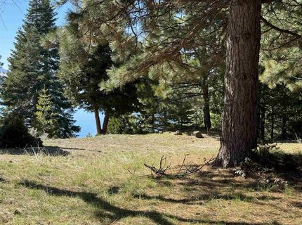 821 Lassen View Drive, Lake Almanor, CA 96137 Photo