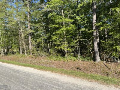 0 Sniders Highway, Walterboro, SC 29488