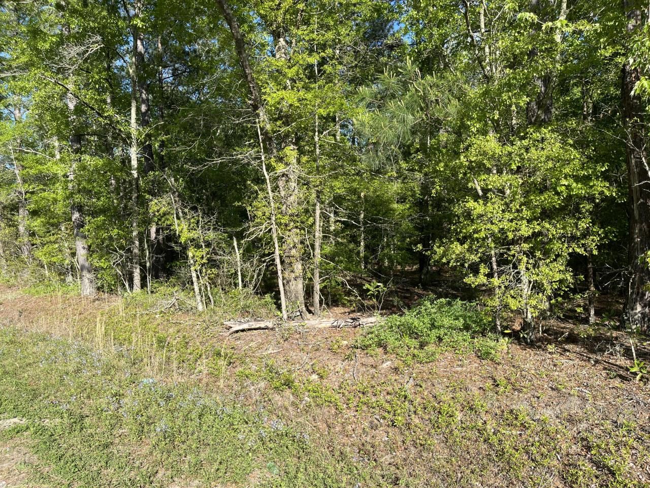 0 Sniders Highway Photo 4