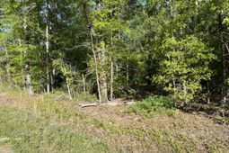 0 Sniders Highway photo 4