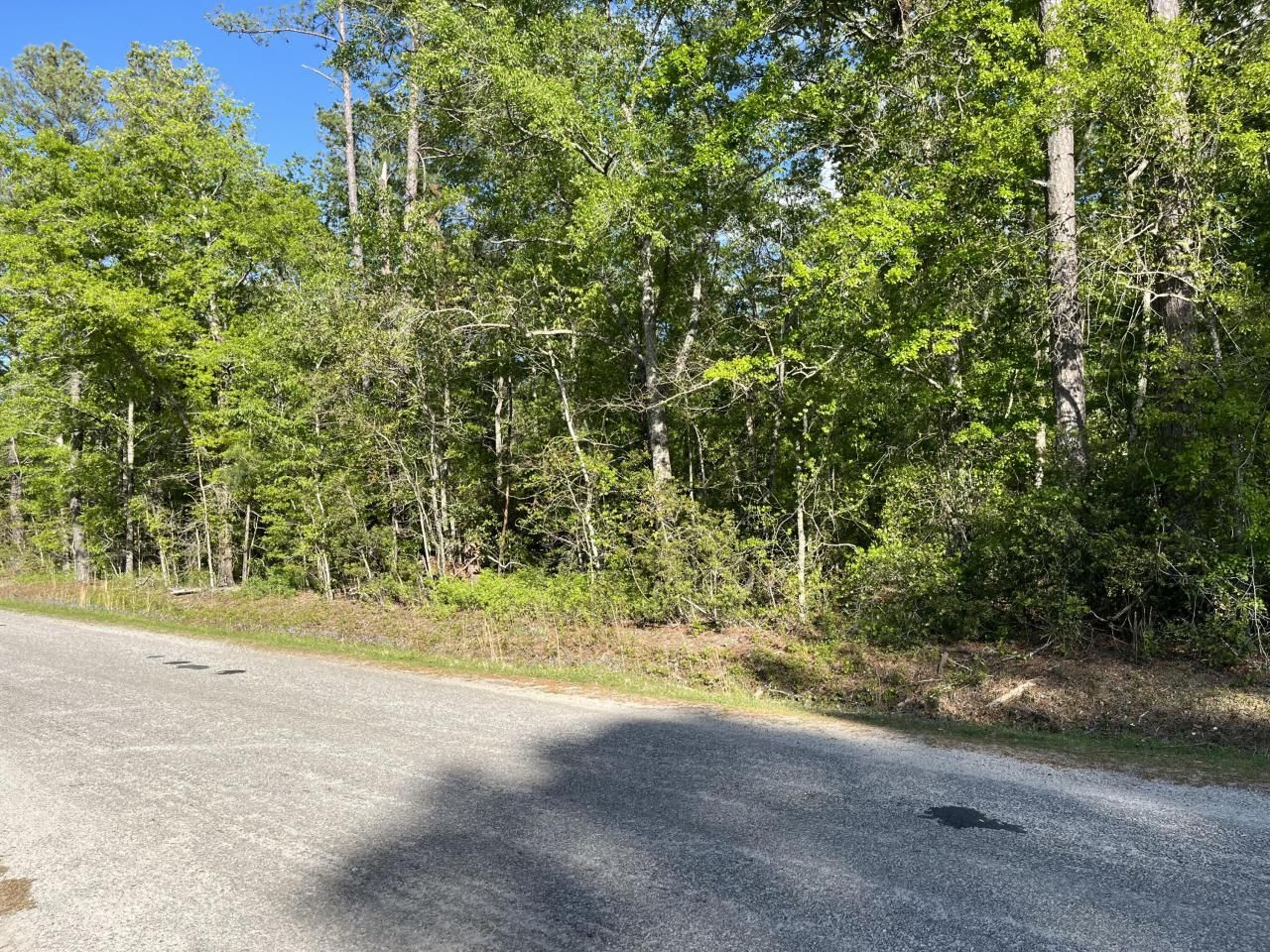 0 Sniders Highway Photo 5