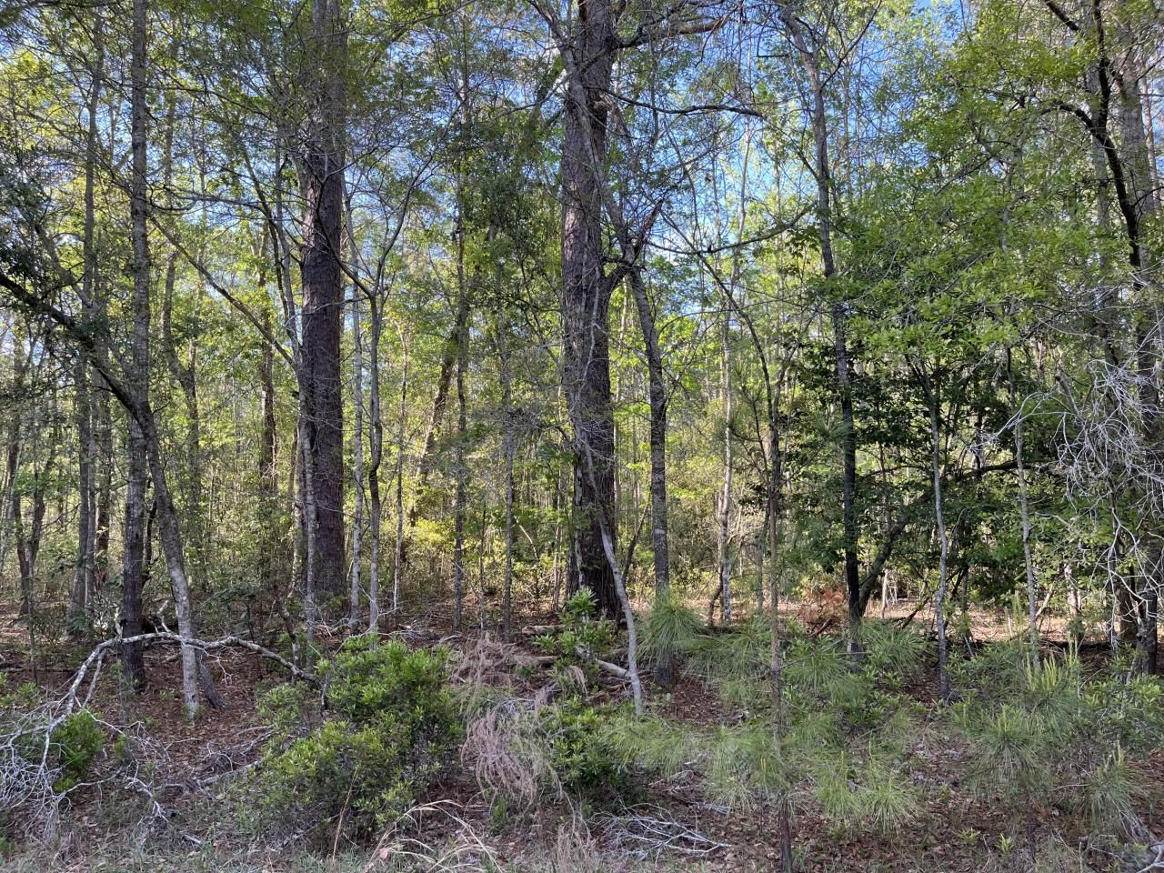 0 Rentz Drive Photo 10