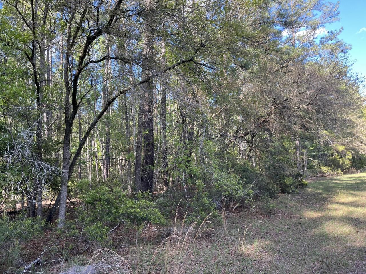 0 Rentz Drive Photo 14