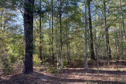 0 Rentz Drive photo 4