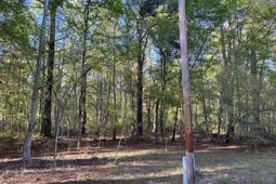 0 Rentz Drive photo 4