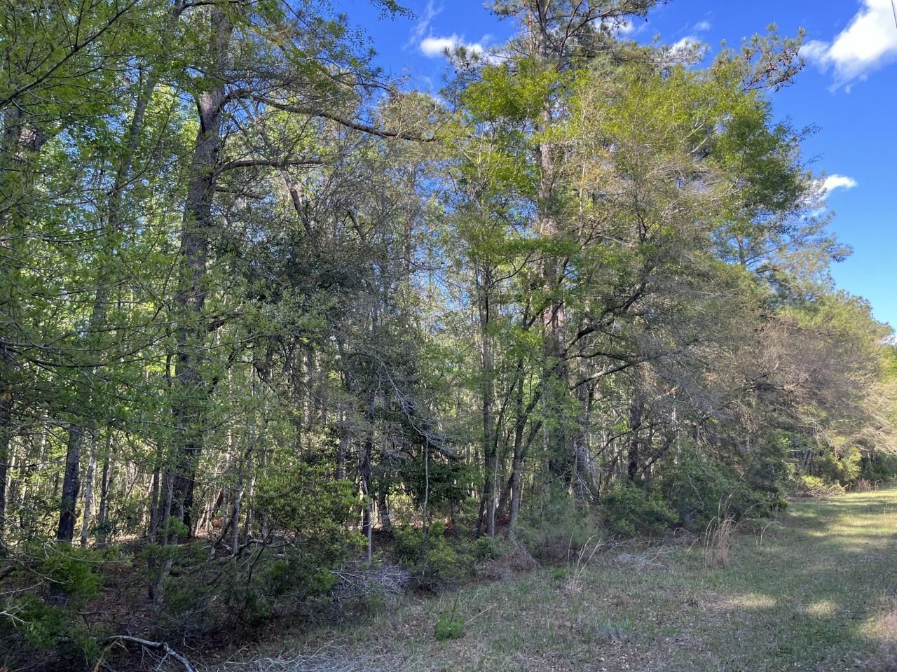 0 Rentz Drive Photo 4