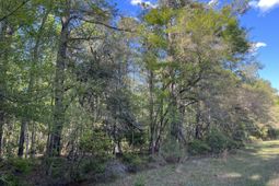 0 Rentz Drive photo 4