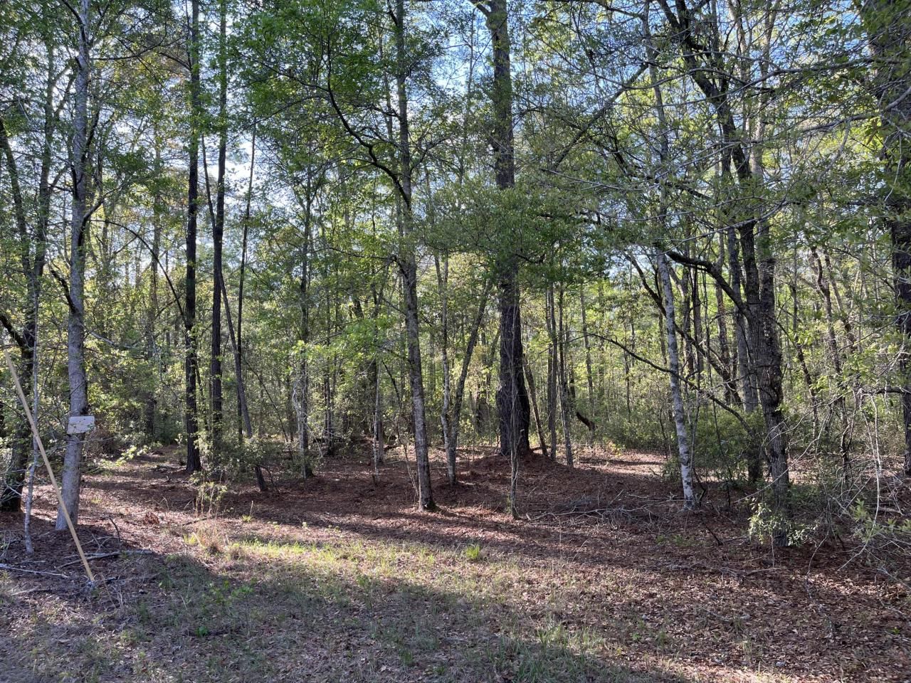 0 Rentz Drive Photo 5