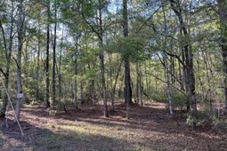 0 Rentz Drive photo 4