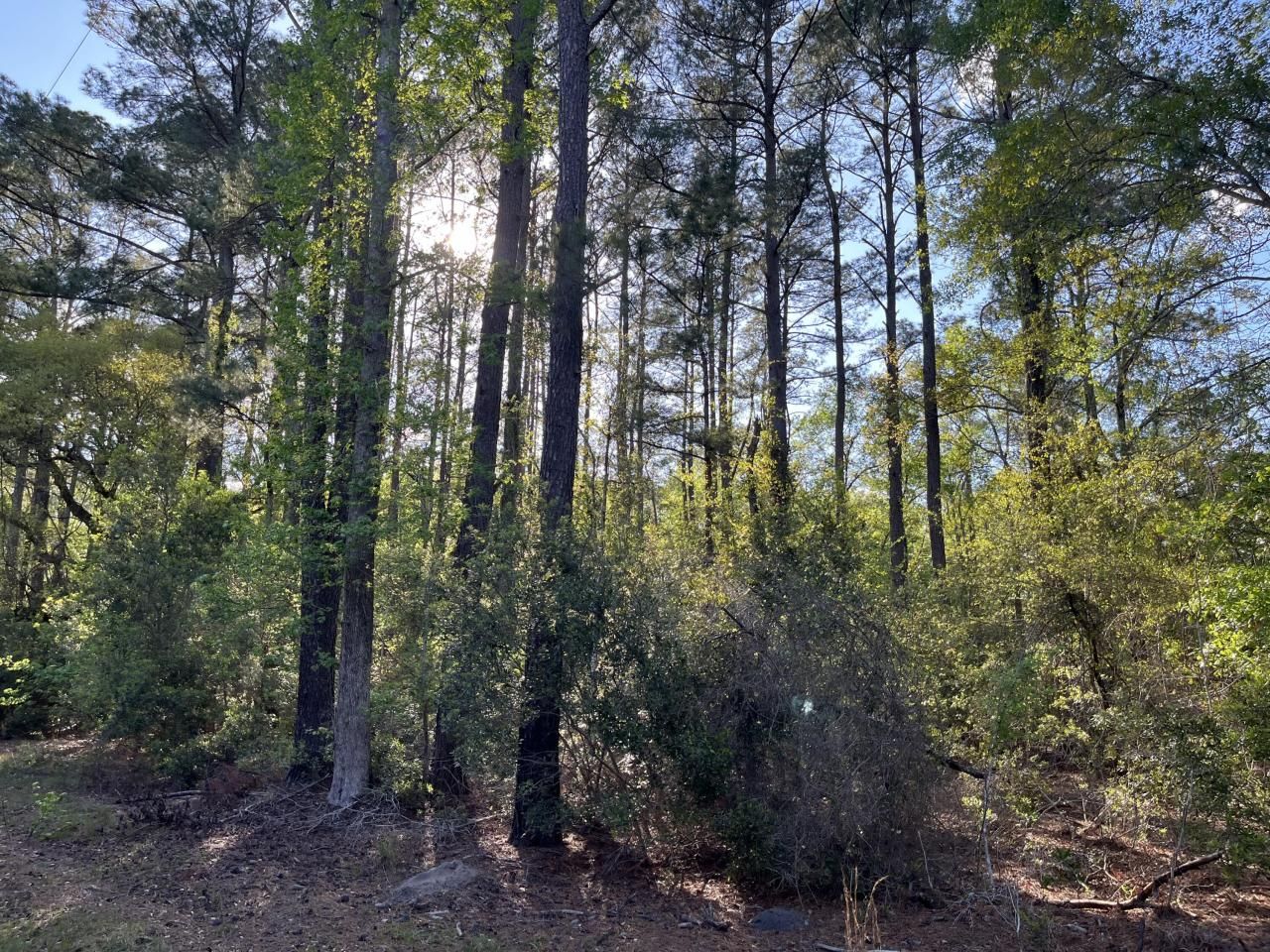 0 Rentz Drive Photo 6