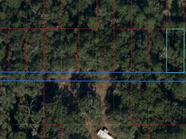 Lot 29 NW 58 STREET, CHIEFLAND, FL 32626