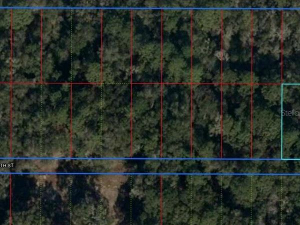 Lot 31 NW 58 STREET, CHIEFLAND, FL 32626
