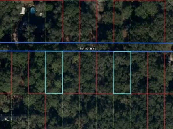Lot 15 & 19 NW 55 PLACE, CHIEFLAND, FL 32626