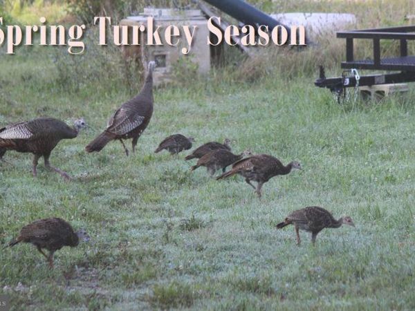 Sparks Corner SPARKS MILL AT ROUTE 213 ROAD, CENTREVILLE, MD 21617