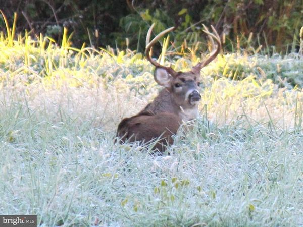 Sparks Corner SPARKS MILL AT ROUTE 213 ROAD, CENTREVILLE, MD 21617