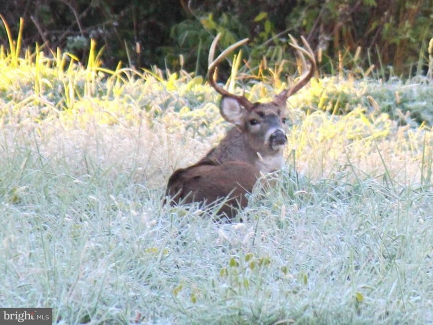 Sparks Corner Sparks Mill At Route 213 Road, Centreville, MD 21617 Main Photo