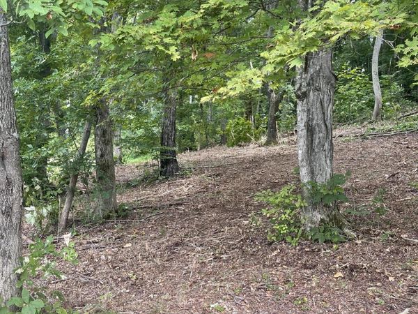 Lot 35 Chimney Top Lane, Chuckey, TN 37641