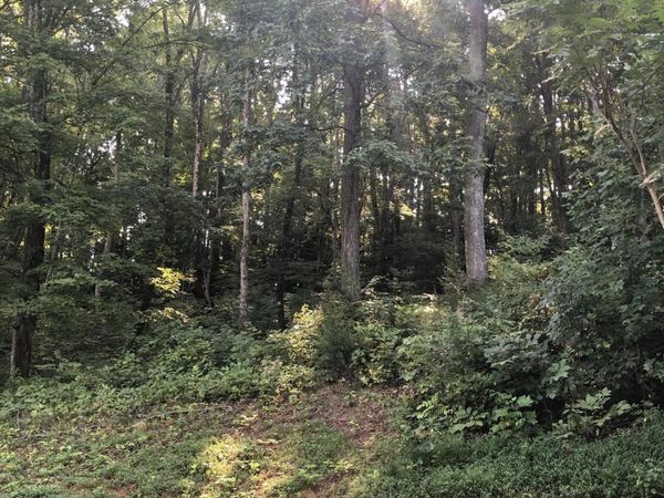 Lot 43 Chimney Top Lane, Chuckey, TN 37641
