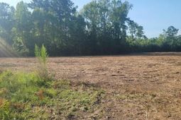 000 Central Avenue photo 4