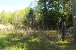 000 Central Avenue photo 4