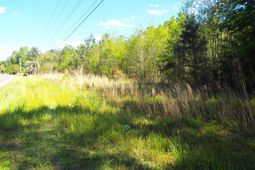 000 Central Avenue photo 4